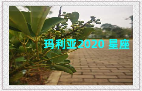 玛利亚2020 星座